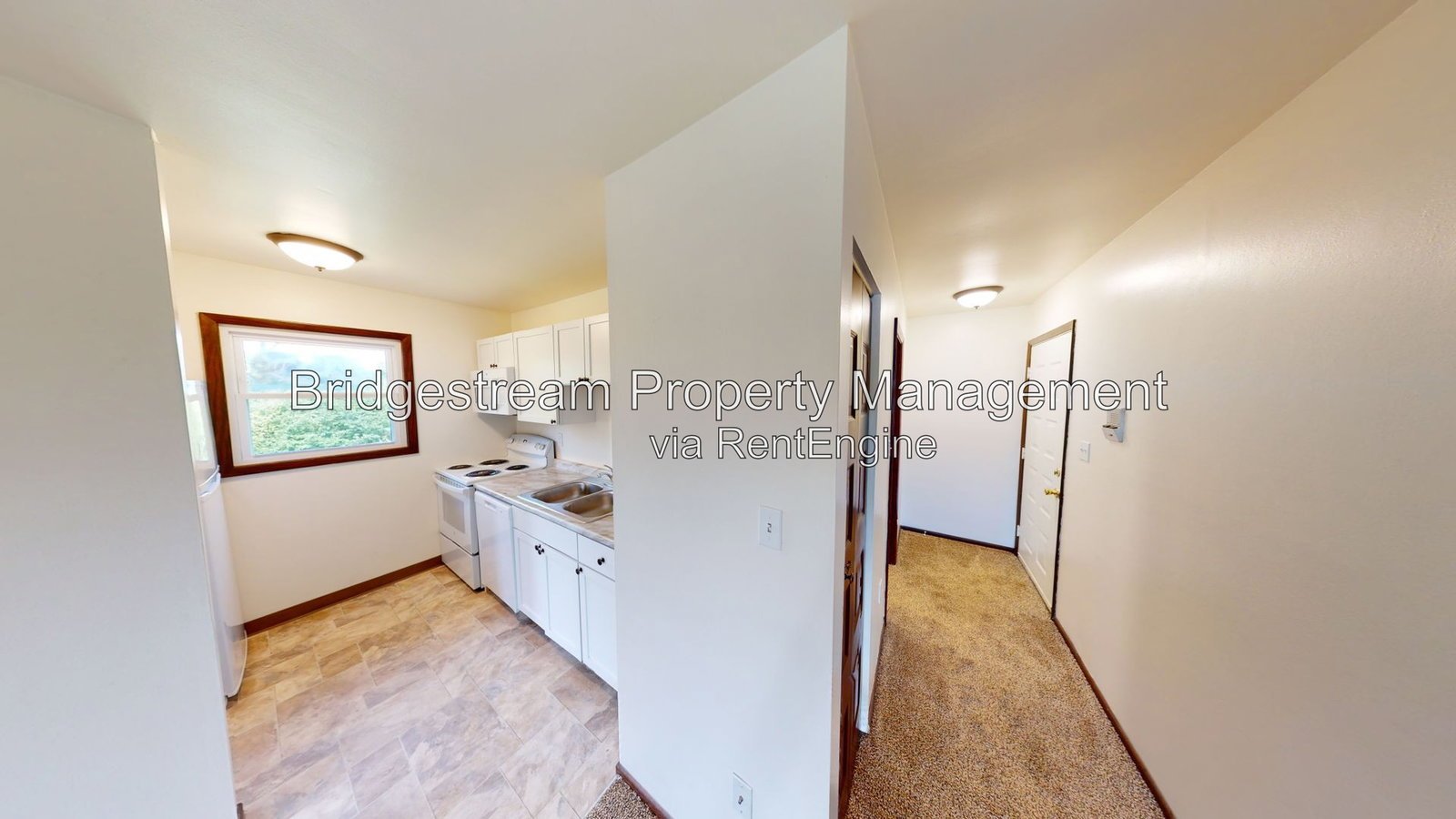 Newly Renovated Studio Apartment! property image