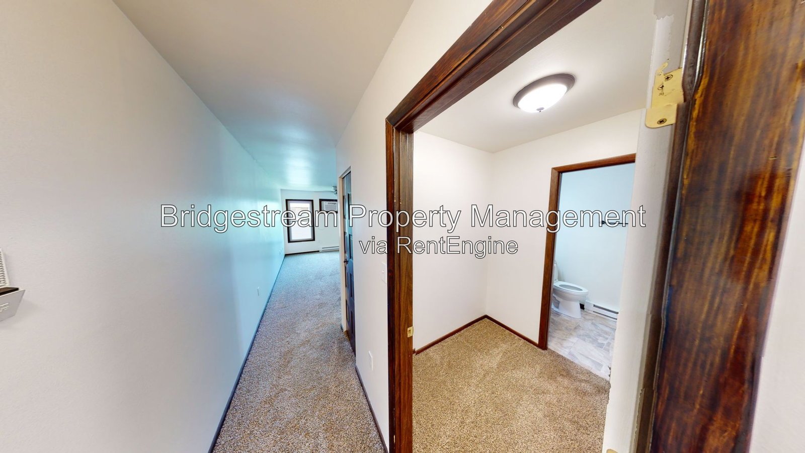 Newly Renovated Studio Apartment! property image